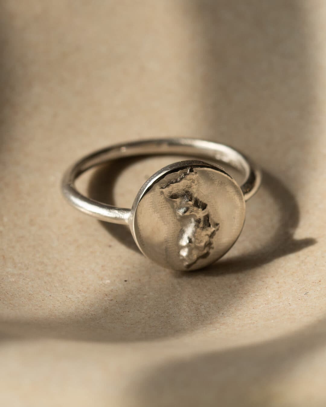 Custom WILDRING map ring