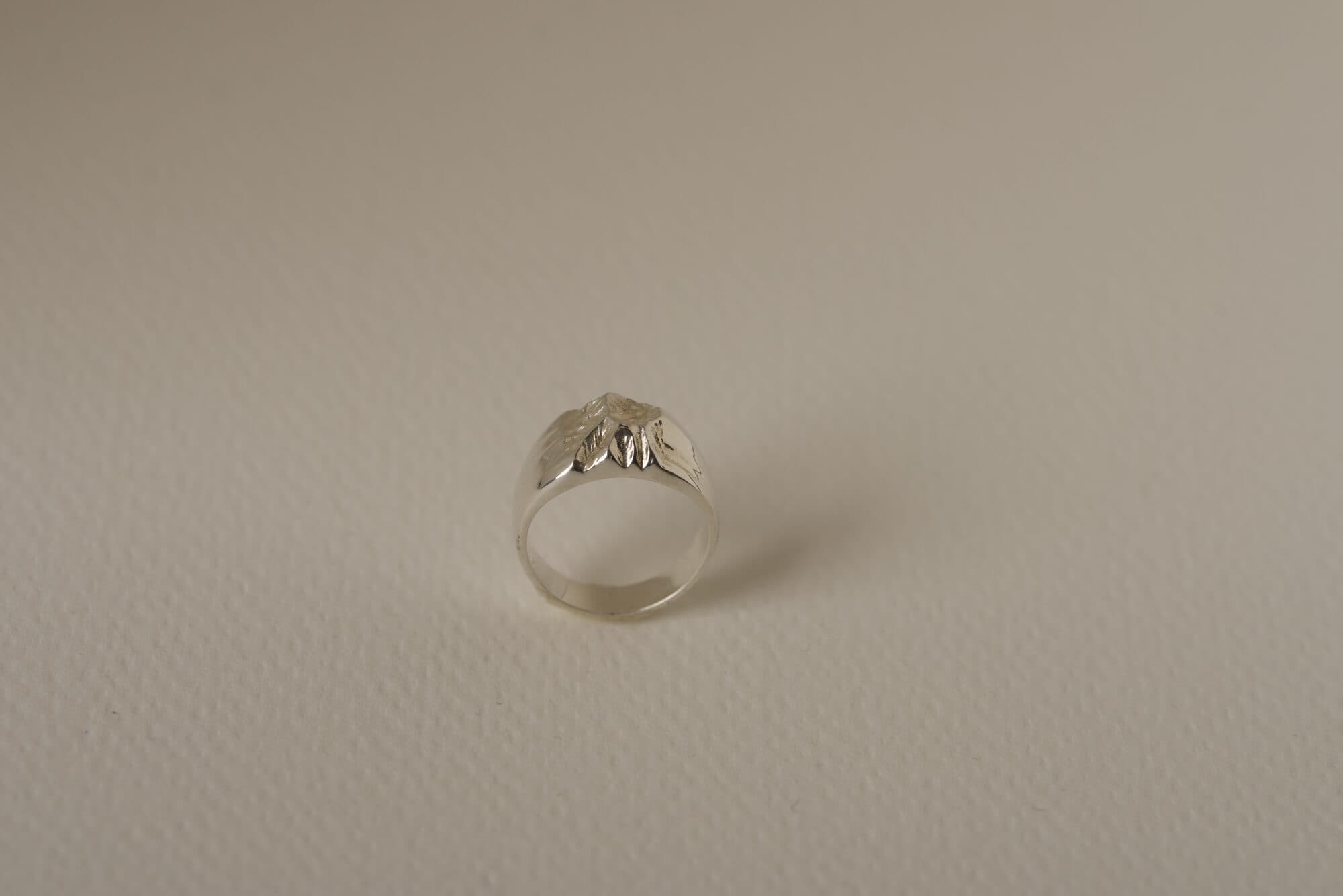 Custom WILDRING map ring
