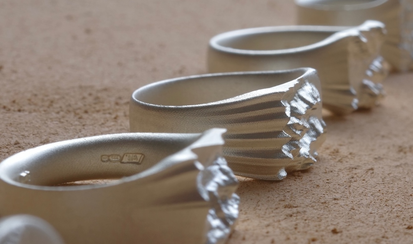 Our First 100 Rings | wildring.studio